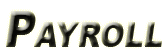 Trucking Payroll Software